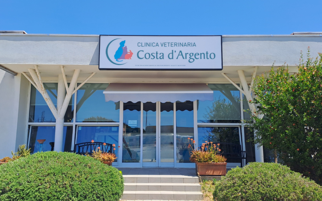 30 Ingresso della Clinica Veterinaria Costa d'Argento con porte a vetri, tenda bianca, panchine, piante in vaso e cespugli: un'accogliente clinica veterinaria in una giornata di sole.