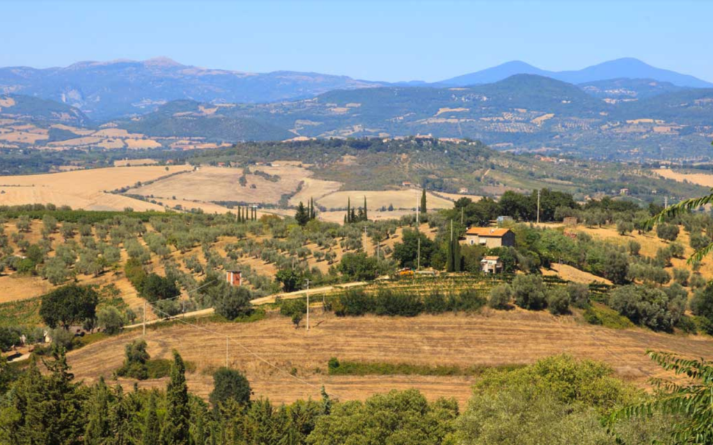 31 Colline ondulate con uliveti, alberi sparsi e una casa colonica, ora sede di un'accogliente clinica veterinaria. Una strada tortuosa attraversa il paesaggio rurale illuminato dal sole, incorniciato da montagne lontane sotto un cielo azzurro e limpido.