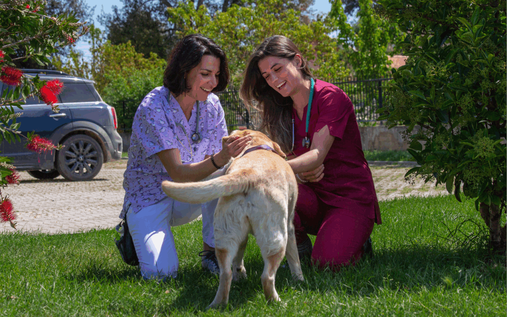 Due donne in camice si inginocchiano sull'erba, sorridendo e accarezzando un cane Labrador giallo all'aperto in una giornata di sole. Sullo sfondo sono visibili alberi e un'auto parcheggiata.