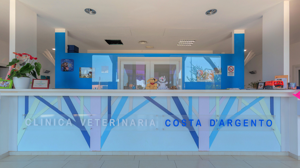Reception della Clinica Veterinaria Costa D'Argento con accenti blu, foto di animali, piante e peluche sul bancone in un'area reception luminosa e moderna.