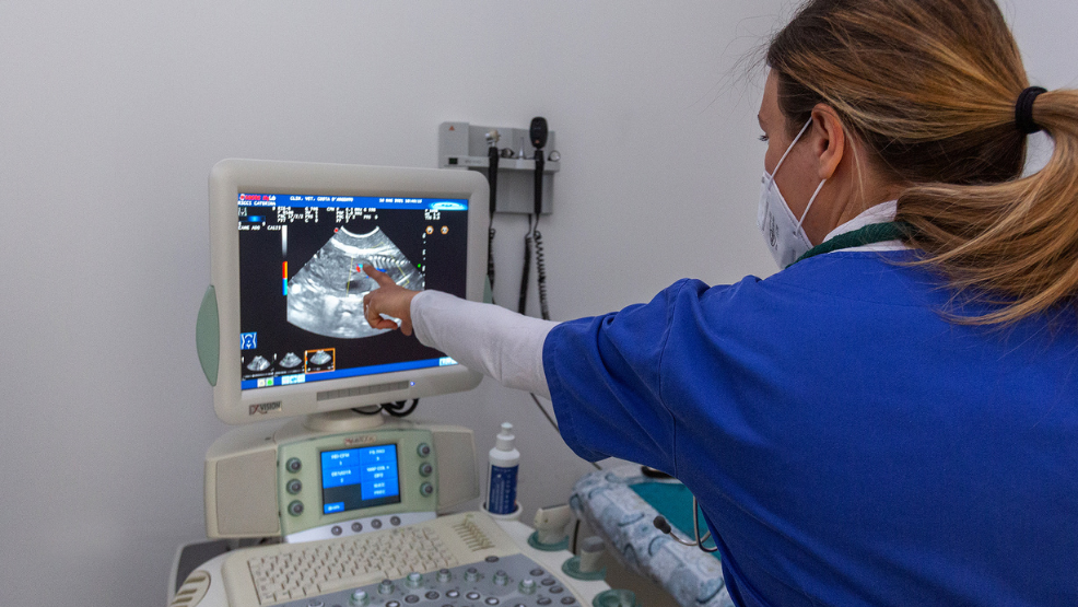 Un operatore sanitario che indossa una mascherina e un camice blu indica un'immagine a ultrasuoni su un monitor in una sala di visita medica. Il gel per ultrasuoni e l'apparecchiatura sono visibili sul tavolo sotto il monitor.