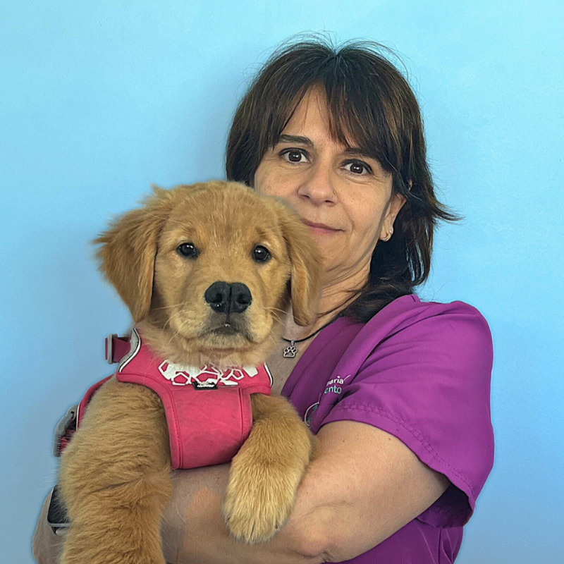 Debora Urbani front office manager della Clinica Veterinaria Costa d'Argento. Una donna con un top viola tiene in braccio un cucciolo di golden retriever con una pettorina rosa, entrambi rivolti verso la telecamera su uno sfondo azzurro.