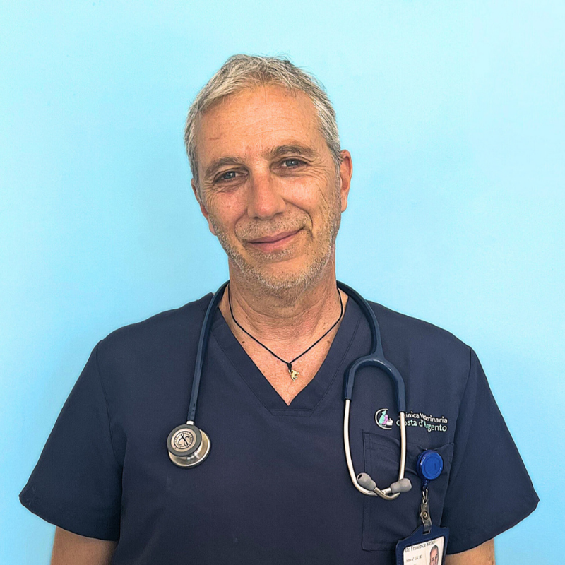 Il Dottor Francesco Stefani co-fondatore della Clinica Veterinaria Costa d'Argento e direttore sanitario dell'Ambulatorio con sede a Porto Santo Stefano. Un uomo di mezza età con i capelli corti e grigi, che indossa un camice blu navy e uno stetoscopio al collo, è in piedi su uno sfondo blu chiaro. Ha un leggero sorriso e un badge identificativo agganciato alla camicia.