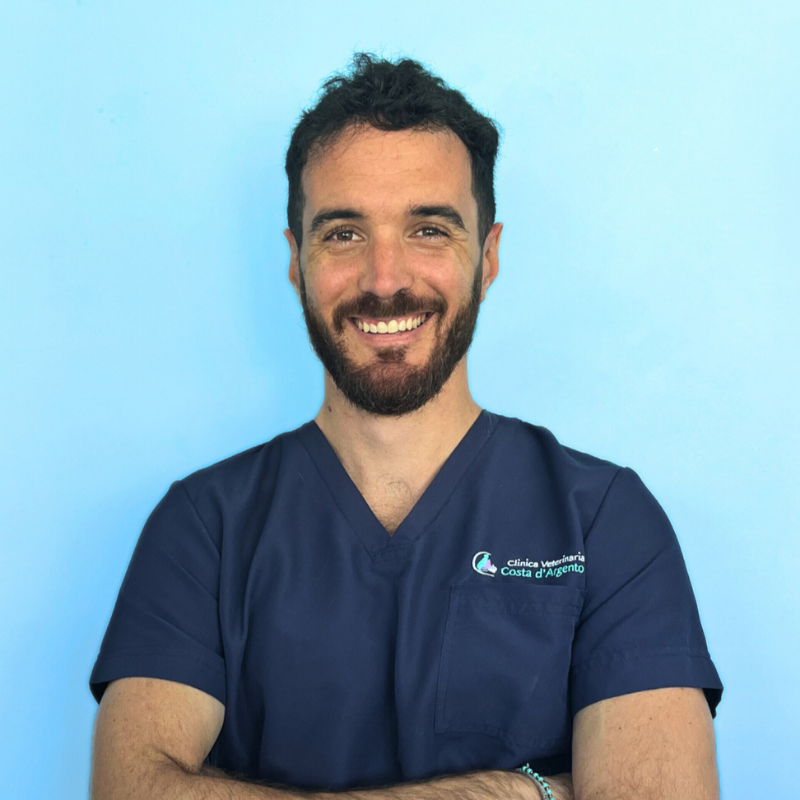 Il Dottor Gian Marco Arcabasso, medico veterinario della Clinica Veterinaria Costa d'Argento. Un uomo sorridente con capelli corti e ricci e barba si staglia su uno sfondo azzurro, indossando un camice medico blu navy con il logo della Clínica Veterinaria Costa de Azahar sul petto e le braccia incrociate.