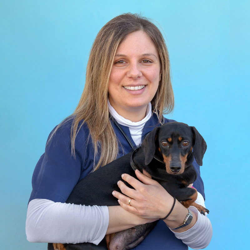 La dottoressa Maria Carla Ruscello, medico veterinario della Clinica Veterinaria Costa d'Argento. Una donna con lunghi capelli castano chiaro sorride alla fotocamera mentre tiene in braccio un piccolo bassotto nero e marrone. Lo sfondo è di colore blu chiaro.