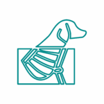 RADIOLOGIA Disegno a linee verde acqua della parte superiore del corpo e della cassa toracica di un cane, rappresentato come una radiografia all'interno di un rettangolo, che illustra la diagnostica per immagini o la diagnostica veterinaria.